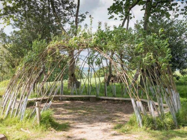 Живая беседка – необычная альтернатива привычным стационарным сооружениям и классическим перголам