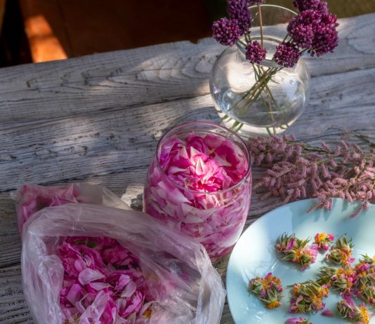 Чайный букет: 20 растений из вашего сада для ароматного напитка