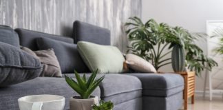 Используем растения в интерьере как профессиональные дизайнеры - Комнатные растения Используем растения в интерьере как профессиональные дизайнеры