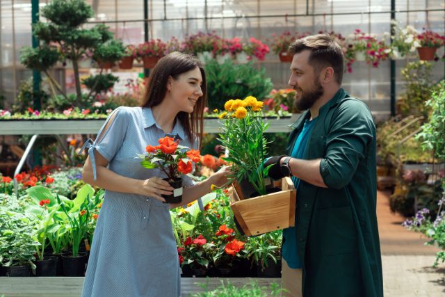 Какие растения можно купить для позднелетних и осенних посадок Какие растения можно купить для позднелетних и осенних посадок