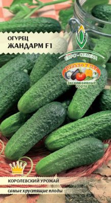 Если хотите, чтобы блюдо оказалось особенно вкусным, возьмите для окрошки огурцы с генетическим отсутствием горечи — Жандарм F1 компании «Евро-Семена». Если хотите, чтобы блюдо оказалось особенно вкусным, возьмите для окрошки огурцы с генетическим отсутствием горечи — Жандарм F1 компании «Евро-Семена».