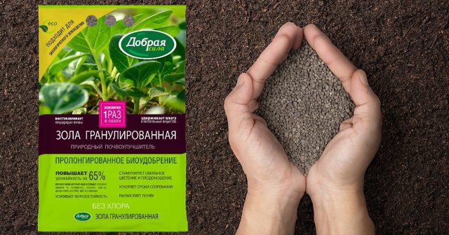 Самый простой вариант безазотных удобрений с этими элементами – гранулированная зола Добрая сила. Самый простой вариант безазотных удобрений с этими элементами – гранулированная зола Добрая сила.