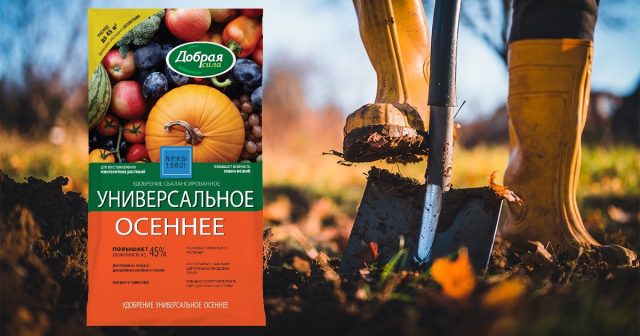 Удобрение Универсальное Лето-Осень Добрая сила (50-100 г в зависимости от плодородия). Удобрение Универсальное Лето-Осень Добрая сила (50-100 г в зависимости от плодородия).