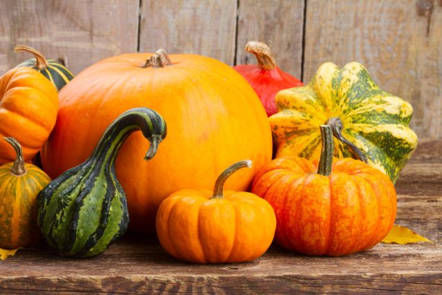 Cкрытый потенциал тыквы — польза в каждой части.