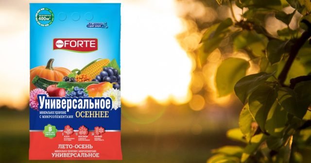 Можно использовать те, которые применяются для подкормки уже растущих плодовых деревьев – Универсальное Лето-Осень Bona Forte. Можно использовать те, которые применяются для подкормки уже растущих плодовых деревьев – Универсальное Лето-Осень Bona Forte.