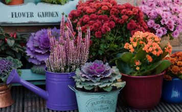 16 идей нарядной осенней композиции в кашпо для веранды и квартиры 16 идей нарядной осенней композиции в кашпо для веранды и квартиры.