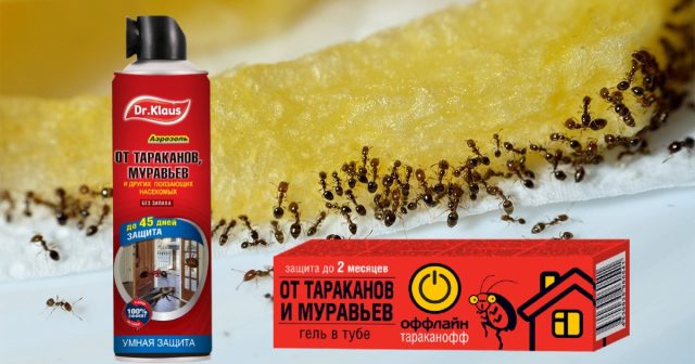 Более эффективны аэрозоли длительного действия, как Dr.Klaus от тараканов и муравьёв. Более эффективны аэрозоли длительного действия, как Dr.Klaus от тараканов и муравьёв.