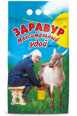 На замену комбикормам, которые не всегда оправдывают свою стоимость, лучше присмотреться к кормовой добавке Здравур максимальный удой для коз.