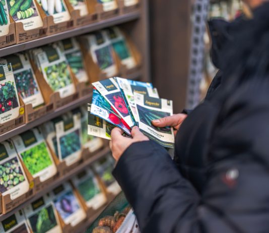 Стоит ли бояться гибридных семян F1 — все мифы о них - Пряные травы и зелень Стоит ли бояться гибридных семян F1 — все мифы о них.