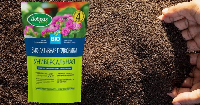 Например, для декабриста прекрасной органической добавкой станет Био-активная подкормка универсальная. Например, для декабриста прекрасной органической добавкой станет Био-активная подкормка универсальная.