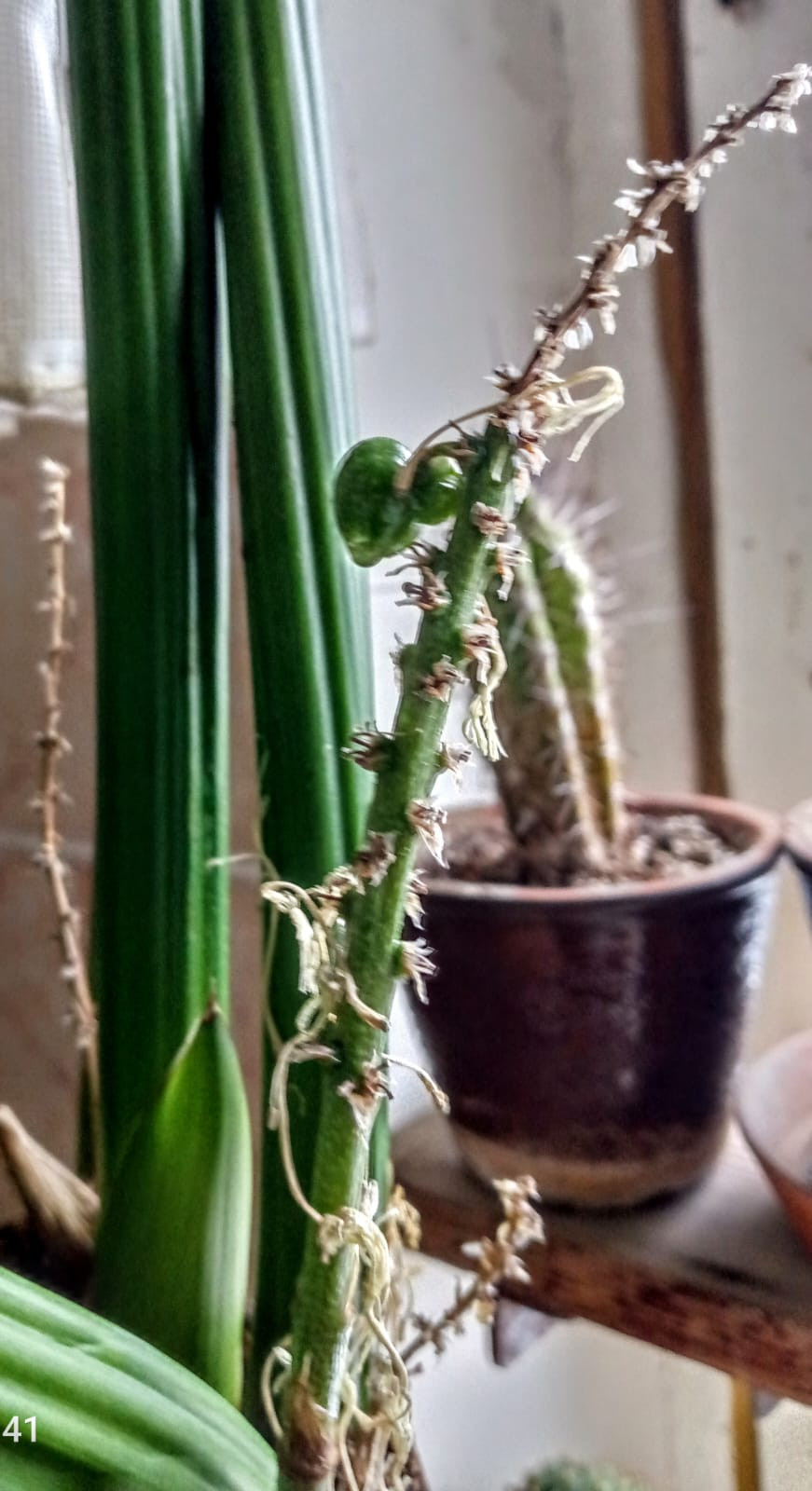 2024-12-20-v-17.12.11_9d613f94