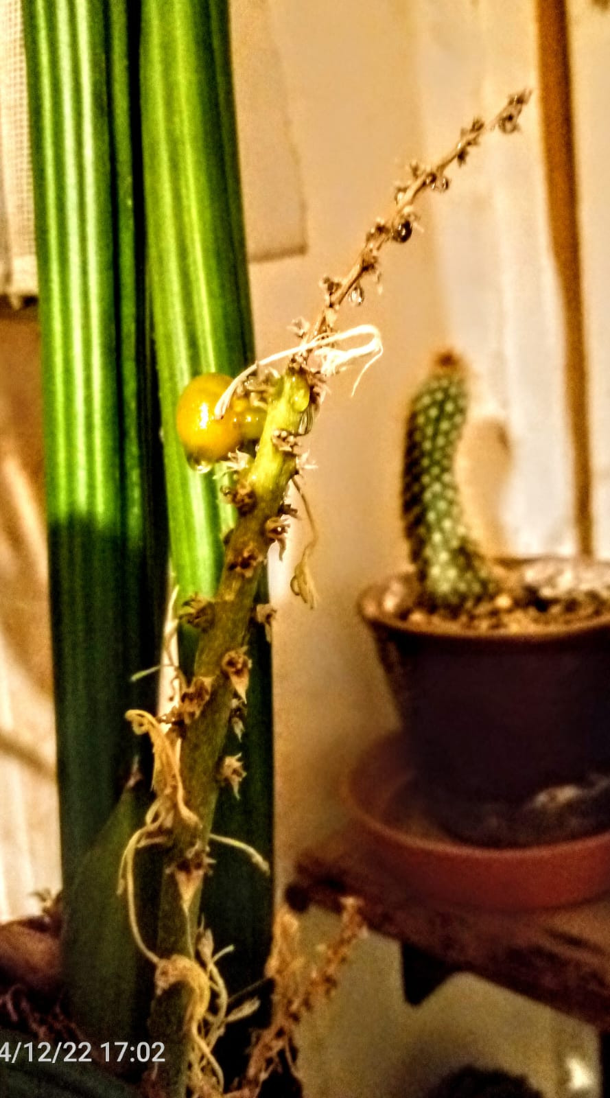 4325c8f5-7652-42ec-9601-6023aca03a03