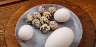 Какие яйца вкуснее и полезнее: куриные, утиные, индюшиные или перепелиные?