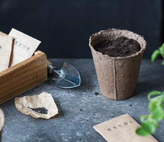 Лунный календарь садовода и огородника на январь 2025 года Лунный календарь садовода и огородника на январь 2025 года.