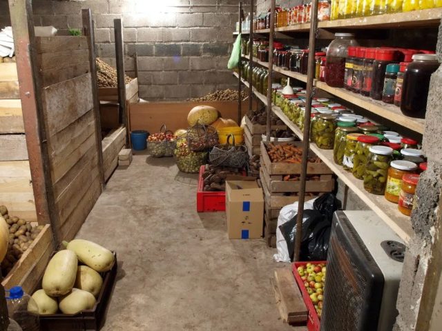 Всё съедобное и несъедобное должно регулярно проверяться на наличие гнилей или проникновение грызунов. Чем раньше вы заметите неладное, тем успешнее решите проблему. Всё съедобное и несъедобное должно регулярно проверяться на наличие гнилей или проникновение грызунов. Чем раньше вы заметите неладное, тем успешнее решите проблему.