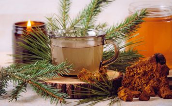 Секрет бодрости в холодное время — витаминный чай из зимнего сада Секрет бодрости в холодное время — витаминный чай из зимнего сада