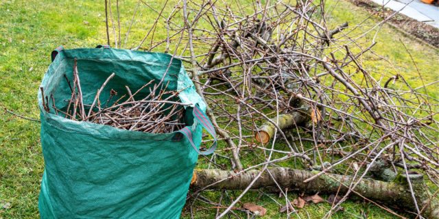 Сразу после проведения обрезки растительный мусор нужно сжечь или вывезти с участка. Сразу после проведения обрезки растительный мусор нужно сжечь или вывезти с участка.