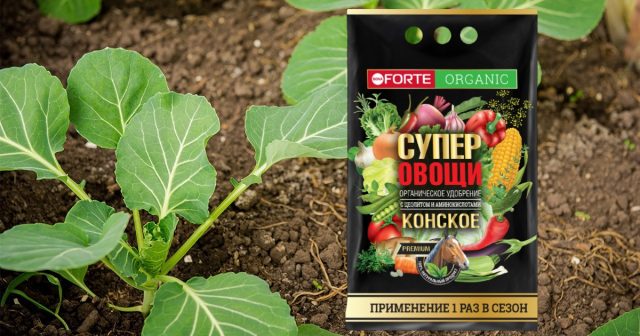 Удобрение Конское Премиум с цеолитом и аминокислотами это одновременно и быстрое, и пролонгированное питание для саженцев. Удобрение Конское Премиум с цеолитом и аминокислотами это одновременно и быстрое, и пролонгированное питание для саженцев.