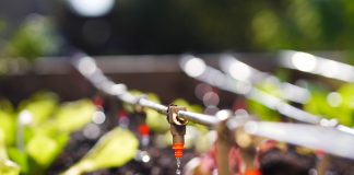 10 способов экономии воды в саду — сохраняем бюджет без вреда для растений.