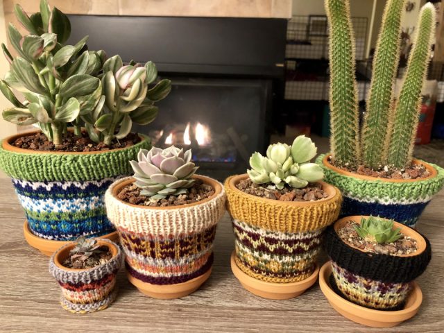 Горшок можно обмотать утеплителем и поставить в более крупное кашпо. Горшок можно обмотать утеплителем и поставить в более крупное кашпо.