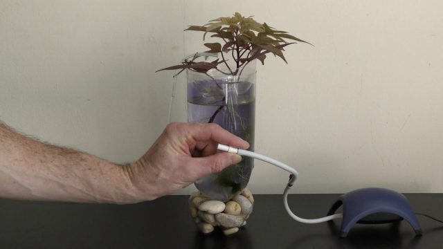 Насытить воду воздухом проще всего обычным дешёвым аквариумным аэратором. Насытить воду воздухом проще всего обычным дешёвым аквариумным аэратором.