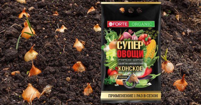 Внести органику желательно ещё с осени, но если вы не успели этого сделать, то просто воспользуйтесь удобрением Конское премиум Bona Forte с цеолитом и аминокислотами (200-400 г на квадратный метр). Внести органику желательно ещё с осени, но если вы не успели этого сделать, то просто воспользуйтесь удобрением Конское премиум Bona Forte с цеолитом и аминокислотами (200-400 г на квадратный метр).