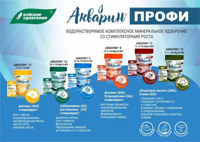 «Акварин ПРОФИ». - популярное водорастворимое удобрение, которое поможет вам не пропустить необходимые подкормки в течение всего сезона. «Акварин ПРОФИ». - популярное водорастворимое удобрение, которое поможет вам не пропустить необходимые подкормки в течение всего сезона.