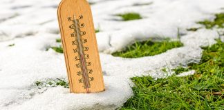 Уход за газоном весной — добиваемся зеленой лужайки на весь сезон.