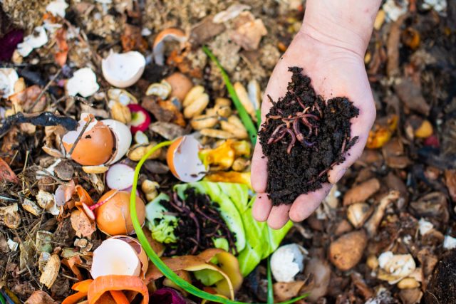 Вермикомпостирование: как создать свою ферму удобрений.