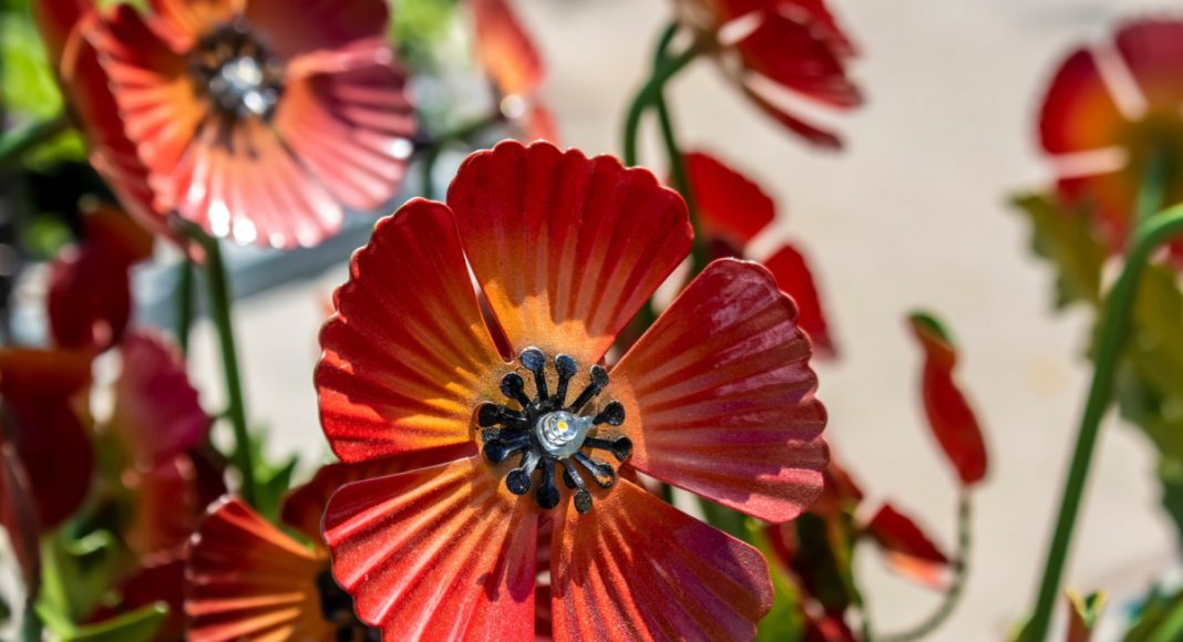 Антитренды ландшафтного дизайна: как делать не нужно Антитренды ландшафтного дизайна: как делать не нужно.