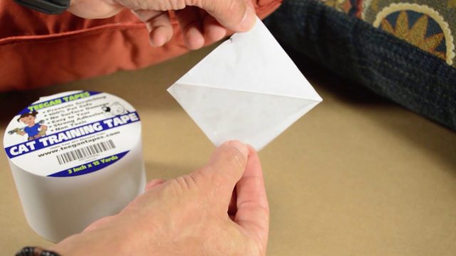 Наши усатые друзья очень не любят, когда что-то прилипает к лапам, и уж тем более если они наступают на что-то колкое.