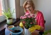 Капризные комнатные растения, которые сведут вас с ума.