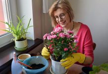 Капризные комнатные растения, которые сведут вас с ума.