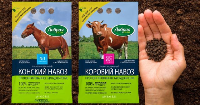 Так, гранулированные удобрения Конский навоз и Коровий навоз Добрая сила можно вносить непосредственно перед посадкой или посевом для питания растений в текущем сезоне.