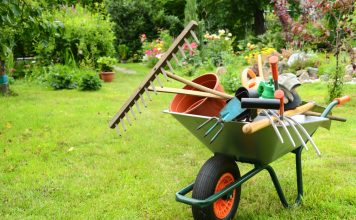 Тест: Знаете ли вы как подготовить сад к дачному сезону?