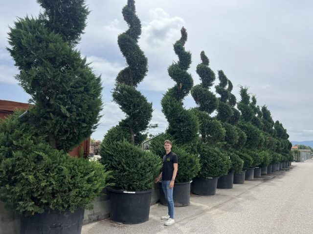 Для начала нужно получить идеальный конус. И только после этого приступать собственно к формированию спирали.