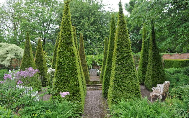 Для фигурной стрижки лучше всего подходят деревья и кустарники с плотной кроной и мелкой фактурой.