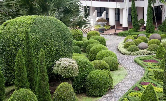 Выбирая форму, которую мы хотим получить в результате фигурной стрижки, нужно отталкиваться не только от нашей фантазии или стиля участка, но и от формы и строения кроны конкретного растения.