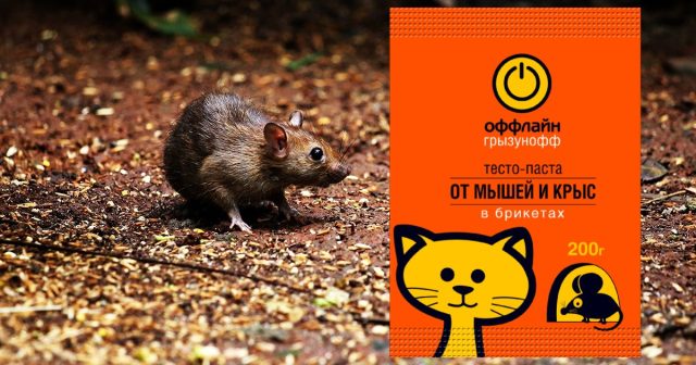 Например, в брикеты Оффлайн входят сразу тесто, сыр, подсолнечное масло и ваниль. От такого угощения крысам отказаться очень сложно. Например, в брикеты Оффлайн входят сразу тесто, сыр, подсолнечное масло и ваниль. От такого угощения крысам отказаться очень сложно.