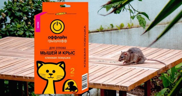 Так, для активации клеевой ловушки-лотка Оффлайн нужно всего лишь снять защитную плёнку и она готова к применению. Так, для активации клеевой ловушки-лотка Оффлайн нужно всего лишь снять защитную плёнку и она готова к применению.