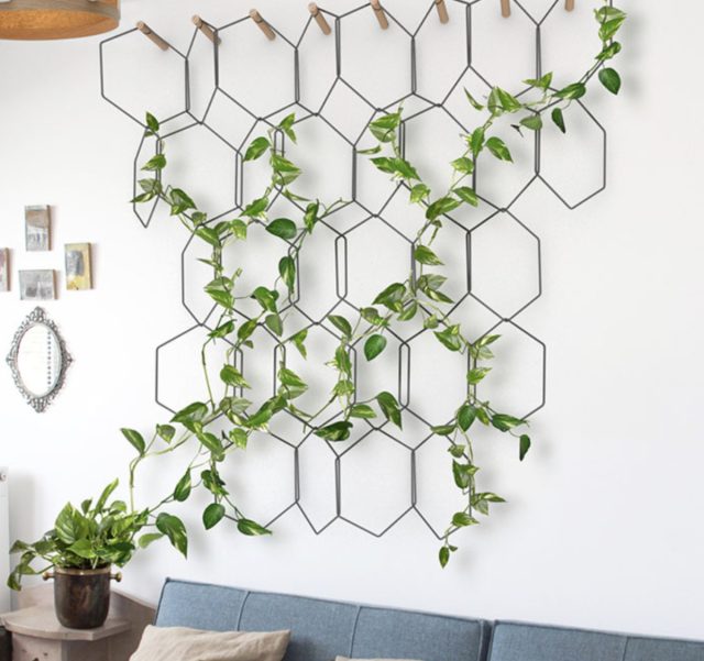 Пожалуй, самый элементарный в исполнении, бюджетный и малоуходный вариант зелёной стены - контейнеры с вьющимися растениями на полу у стены и сетка или декоративная решётка, за которую они будут цепляться.