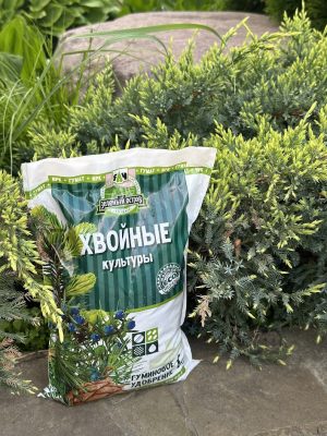 Наконец, гуминовые удобрения ускоряют рост и укрепляют корневую систему можжевельника. Его хвоя становится пышнее и насыщеннее.