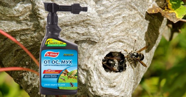 Средство Dr.Klaus в канистре с эжектором подсоединяется к водопроводу и обработку в большинстве случаев можно проводить даже без стремянок, с земли или пола. Средство Dr.Klaus в канистре с эжектором подсоединяется к водопроводу и обработку в большинстве случаев можно проводить даже без стремянок, с земли или пола.