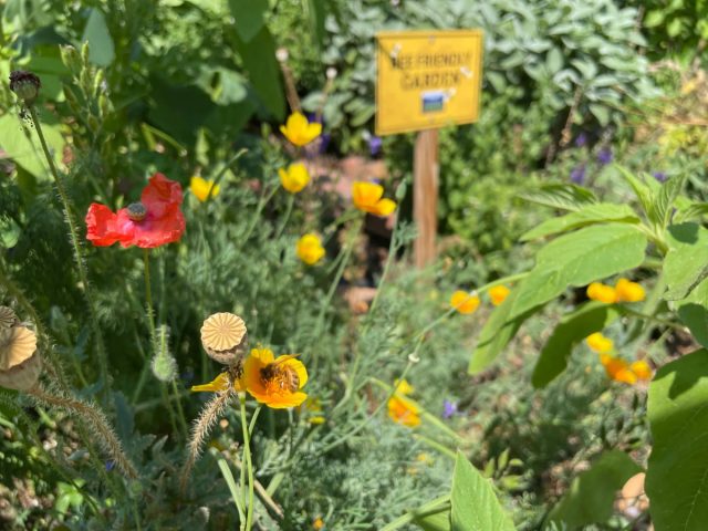 Сбор нектара и пыльцы – трудоемкий процесс. Поэтому насекомым должно быть удобно. Сбор нектара и пыльцы – трудоемкий процесс. Поэтому насекомым должно быть удобно.