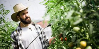 Можно ли защитить сад от вредителей одной обработкой — советы экспертов - ООО «Ваше Хозяйство» Можно ли защитить сад от вредителей одной обработкой — советы экспертов.