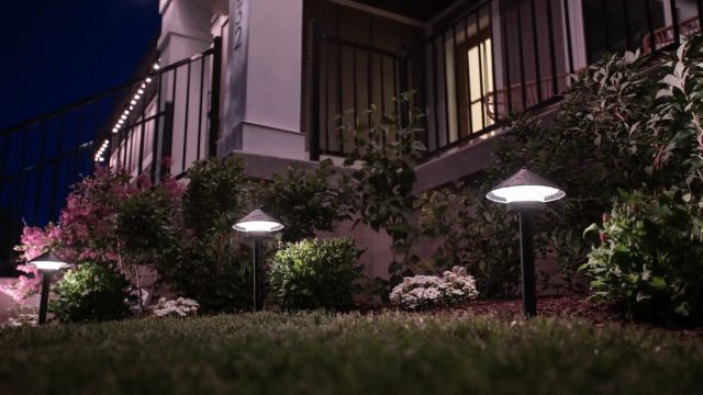 Используйте искусственный свет с меньшей интенсивностью, чтобы снизить вред для растений.