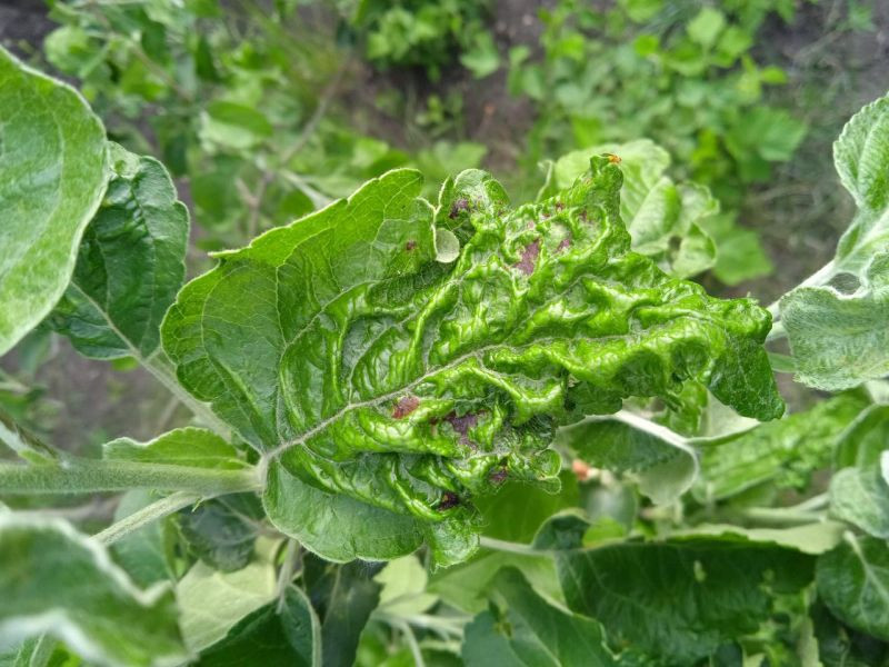 photo_2025-05-20_18-42-56
