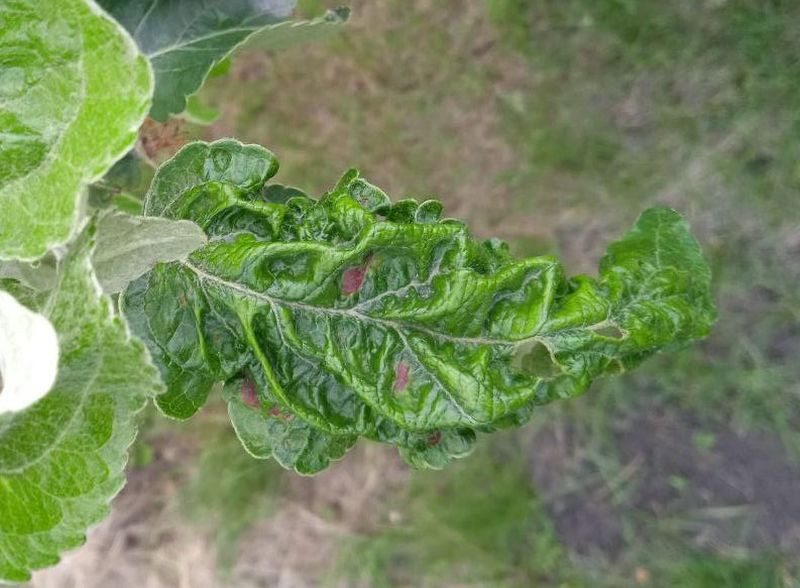 photo_2025-05-20_18-42-57