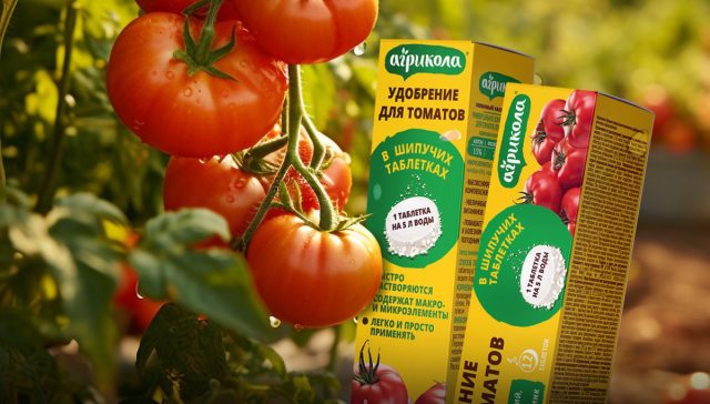 Таблетки «Агрикола» подходят для подкормок томатов в открытом грунте, в теплицах и парниках, везде показывая превосходный результат.