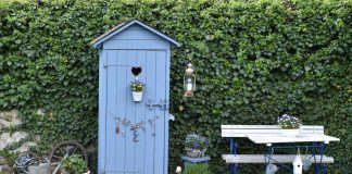 Выбираем удобный и комфортный дачный туалет — важные особенности.